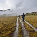 Фото к отзыву Дарья Макарова
