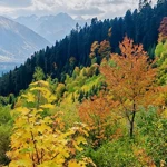 Фото к отзыву Виктория Князева