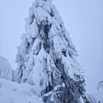 Фото к отзыву Екатерина  Екатерина