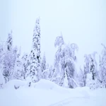 Фото к отзыву Алексей Ширманов