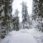 Фото к отзыву Алексей Ширманов