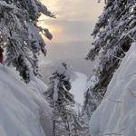 Фото к отзыву Ольга Тельнова