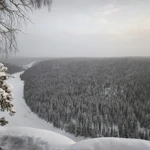 Фото к отзыву Ольга Кислая