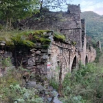 Фото к отзыву Лена Здоровое колено
