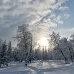 Фото к отзыву Дарья Красильникова