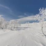 Фото к отзыву Дарья Красильникова