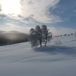 Фото к отзыву Дарья Красильникова