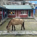 Фото к отзыву Анастасия  Шахматова