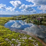 Фото к отзыву Анастасия Фомичева