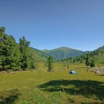 Фото к отзыву Надежда Строганова