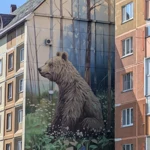 Фото к отзыву Ким  Якушенко