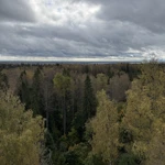 Фото к отзыву Галина Костромина