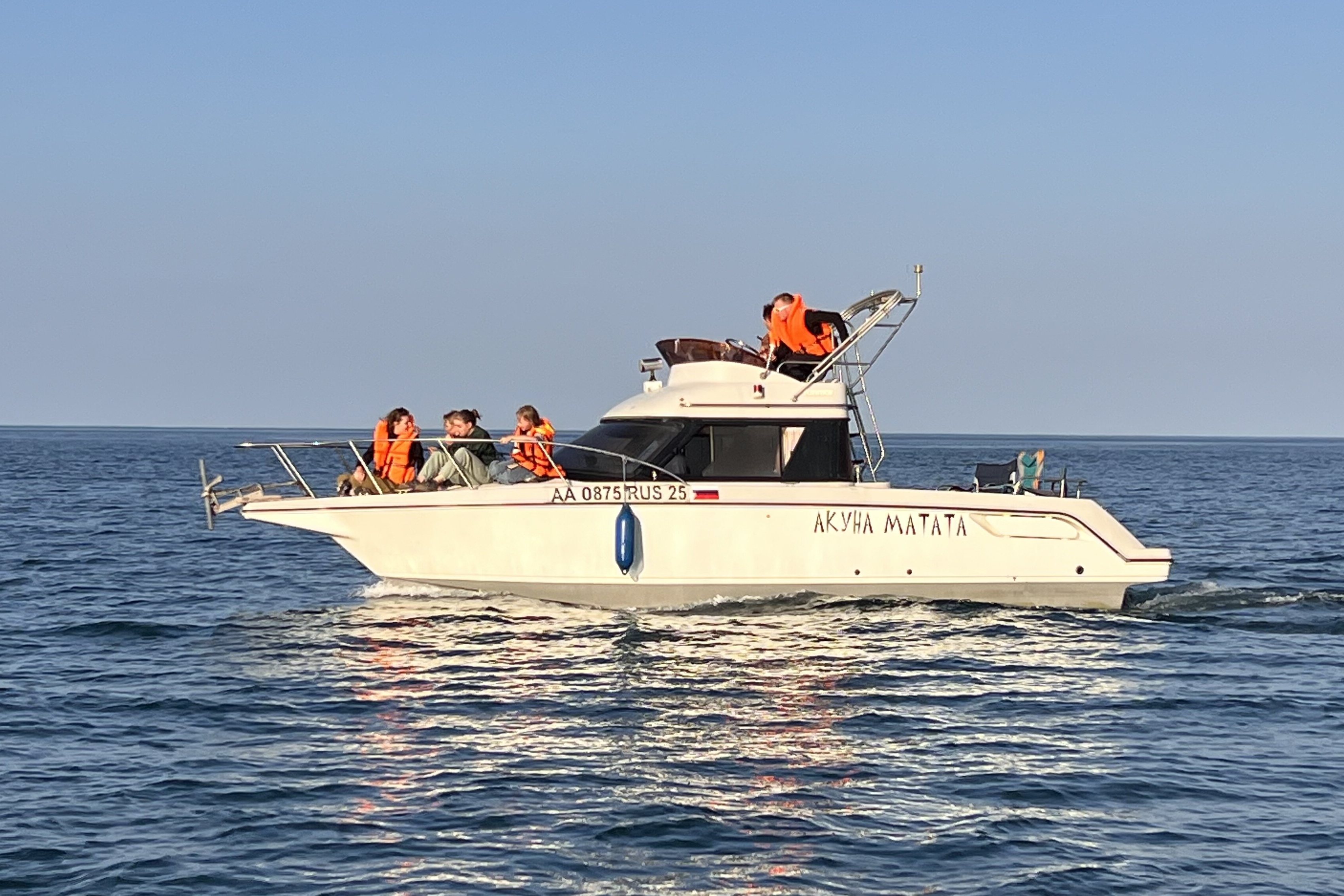 Морская прогулка и встреча с морскими обитателя Севера
