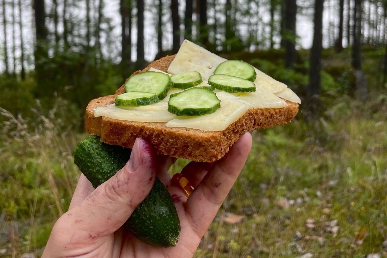 Вкусный перекус