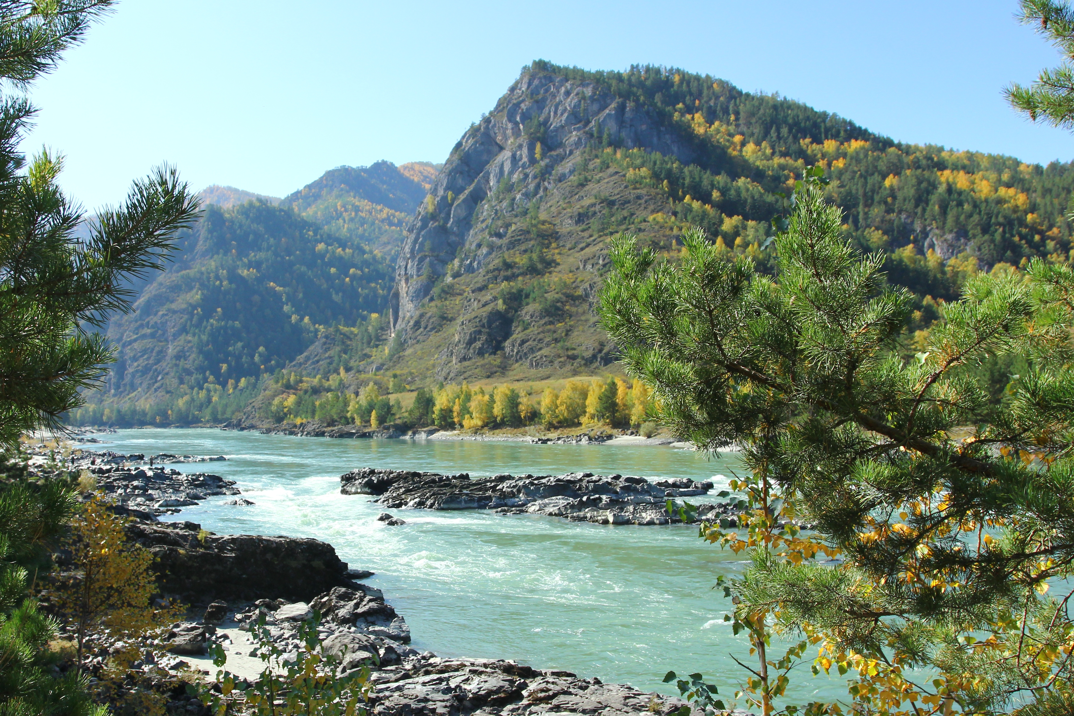 Катунь