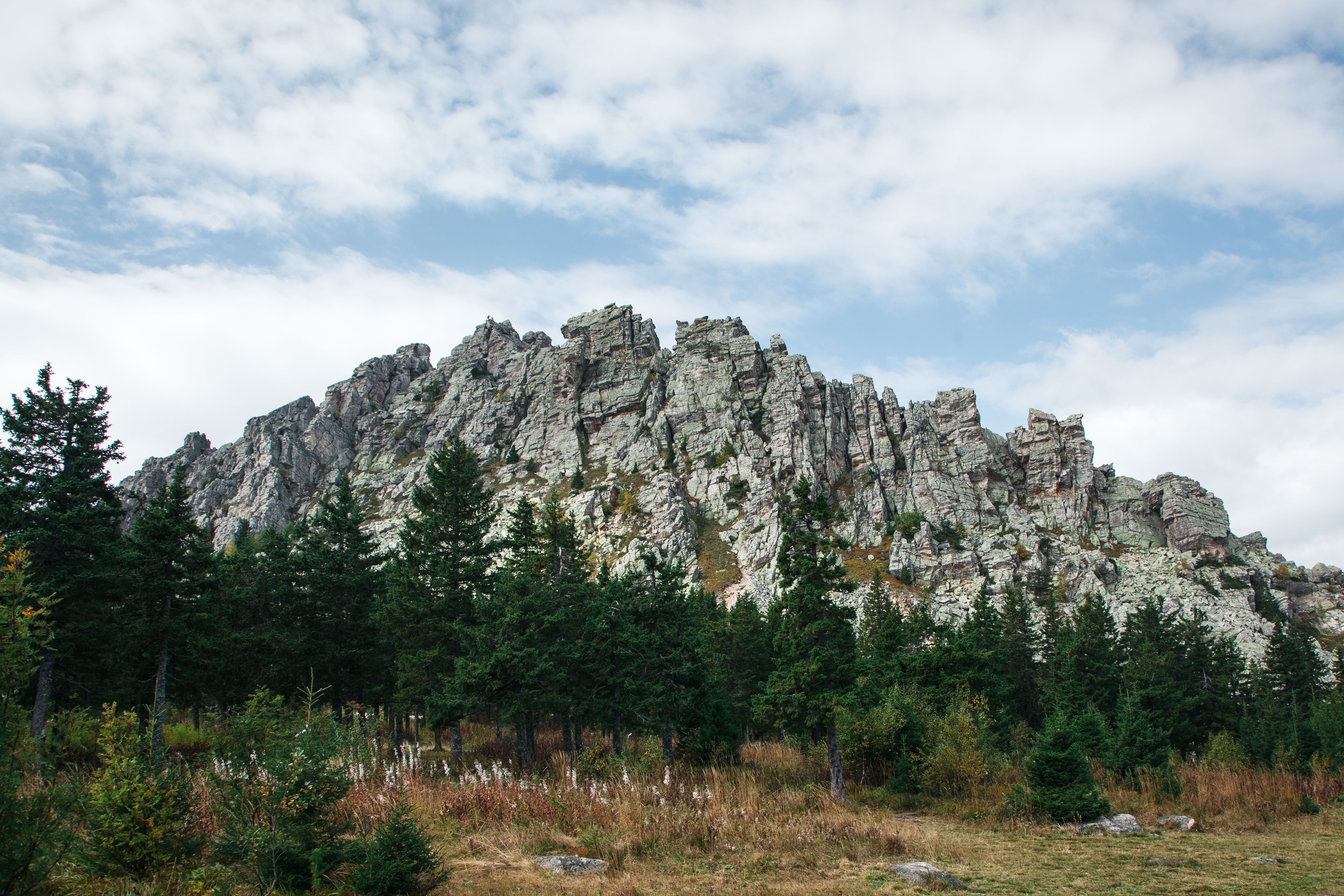 Откликной гребень
