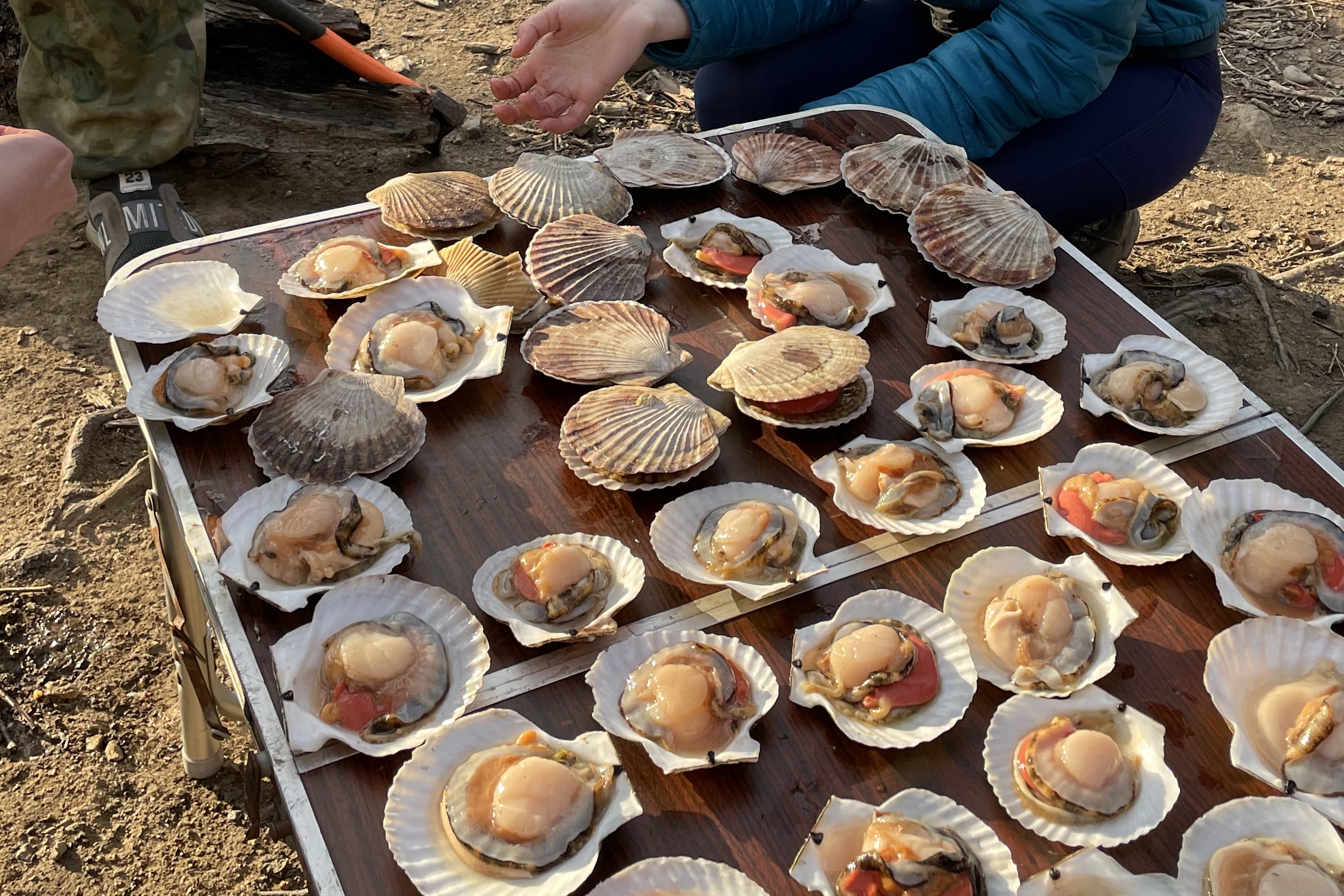 Гребешки прямо из Японского моря