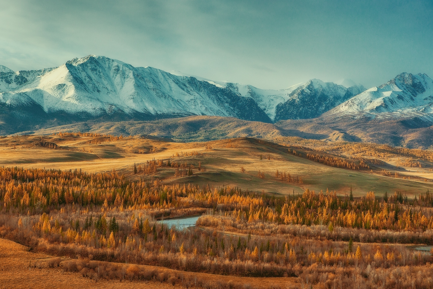 Курайская степь