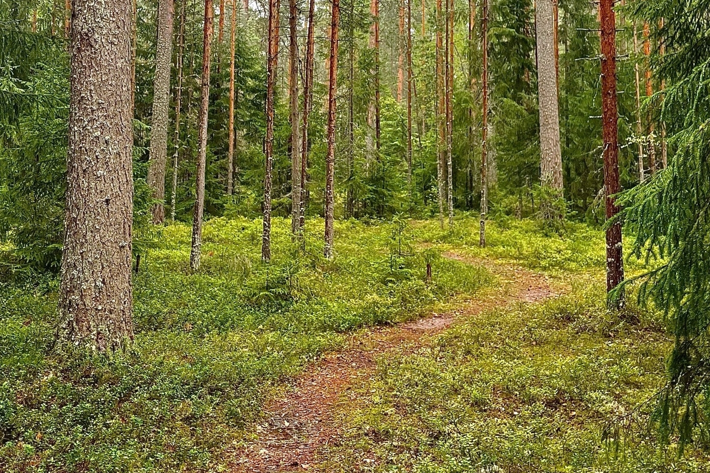 Прогулка по экотропе