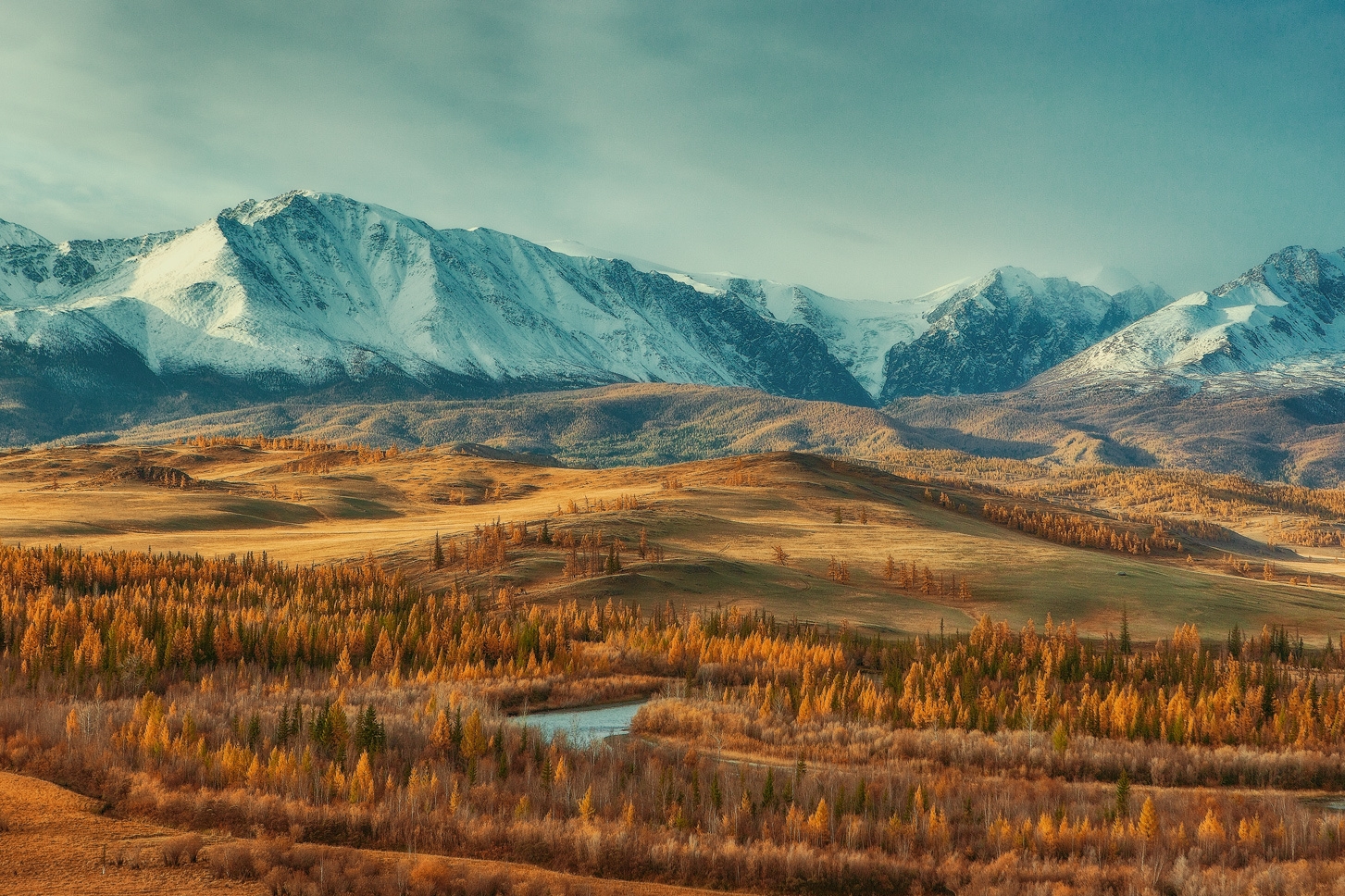 Курайская степь