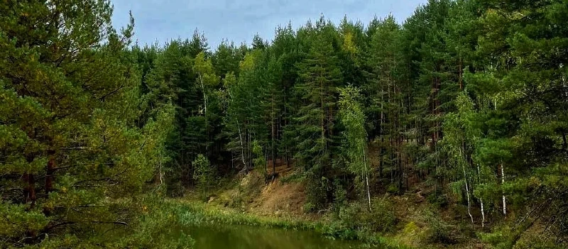 Цветные озера. Однодневный поход в Подмосковье