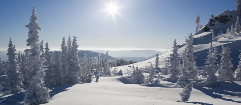 Горнолыжный тур в Шерегеш. Снежная Сибирь