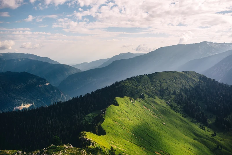 хребет арбаика