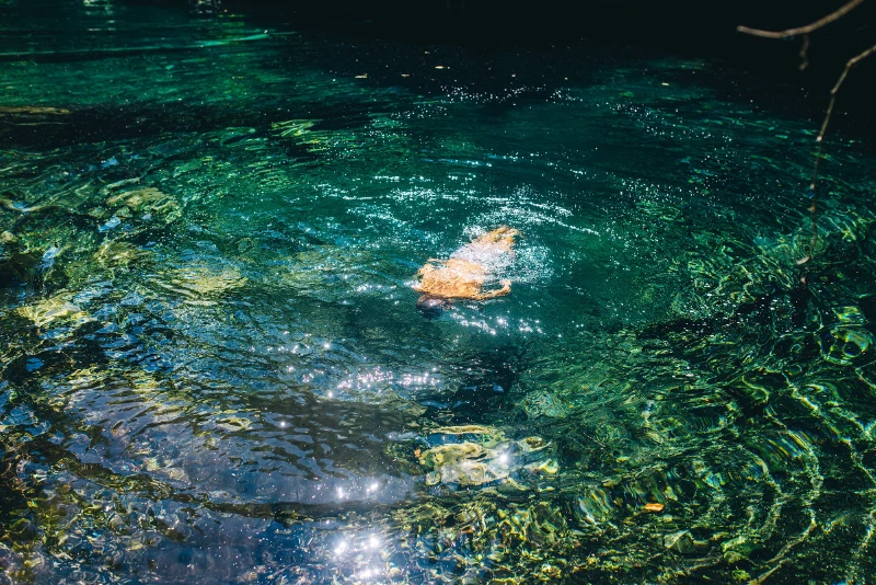 ледяная вода купание