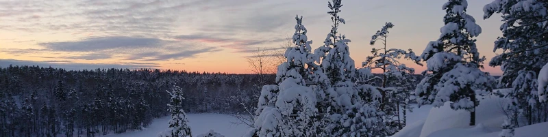 Ястребиное. Ночь в зимнем лесу